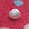 IMG-20210227-WA0025