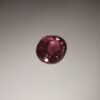 IMG-20210301-WA0032