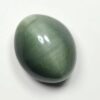 IMG-20220311-WA0005